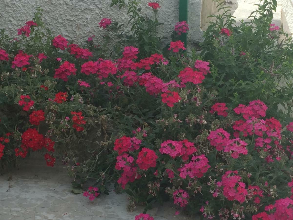 Casa Sul Mare - Wifi Free - Parcheggio Privato Apartment ซานโฟกา ภายนอก รูปภาพ